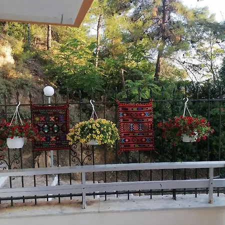 Studios Elena Center Mini-hôtel Limenaria (Thasos)